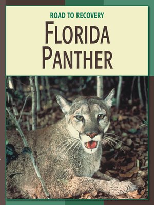 cover image of Florida Panther